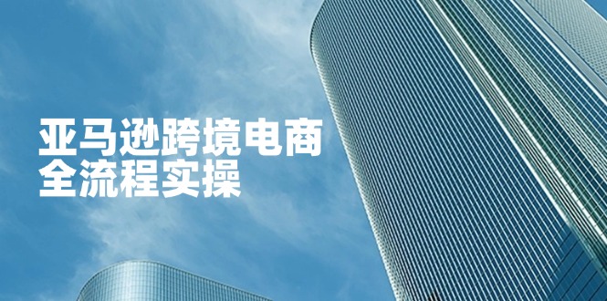 （14252期）亚马逊跨境电商全流程实操，教你从零开始，掌握店铺运营与广告技巧-垣曜资源