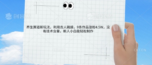 AI养生赛道新玩法，10条作品涨粉5.2W，操作简单，新人小白能轻松制作-垣曜资源