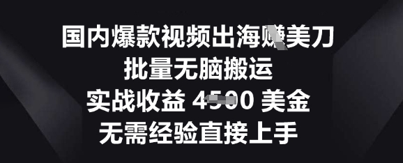 国内爆款视频出海挣美刀,批量无脑搬运,实战收益4.5k,无需经验直接上手-垣曜资源