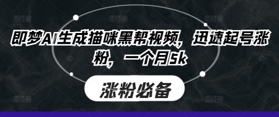 即梦AI生成猫咪黑帮视频，迅速起号涨粉，一个月5k-垣曜资源