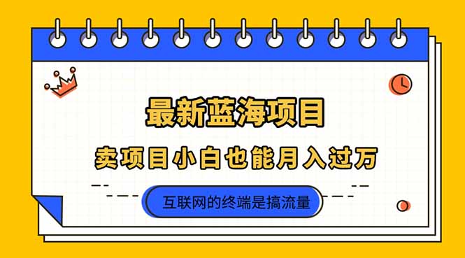 （14289期）2025年最新蓝海项目，卖项目小白也能月入过万-垣曜资源