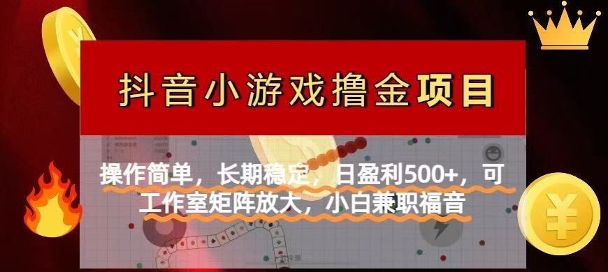 （14290期）【抖音小游戏发行人计划项目】操作简单，长期稳定，日盈利500+，可工作...-垣曜资源