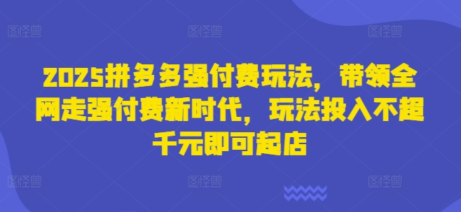 2025拼多多强付费玩法,带领全网走强付费新时代,玩法投入不超千元即可起店-垣曜资源