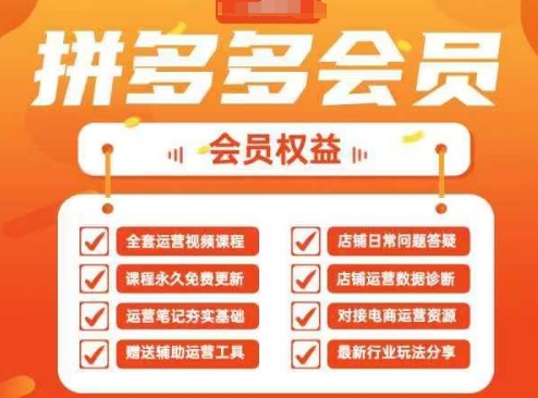 2025拼多多运营实战课，40节全流程教学，覆盖拼多多运营全链路-垣曜资源