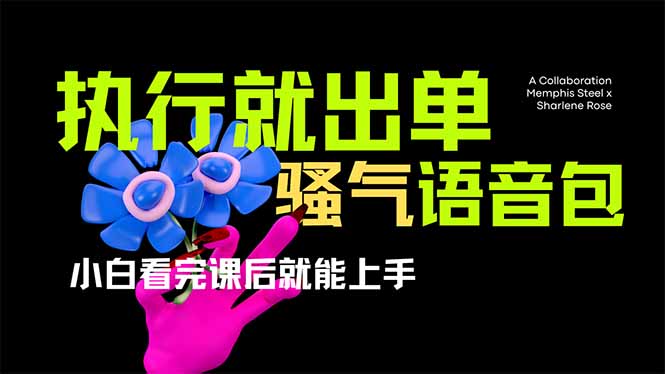 （14170期）爆火全网的开车导航骚气语音包,只要执行就出单，小白看完课程就能实操...-垣曜资源