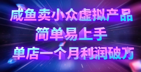 咸鱼卖小众虚拟产品，简单易上手，单店一个月利润破W-垣曜资源