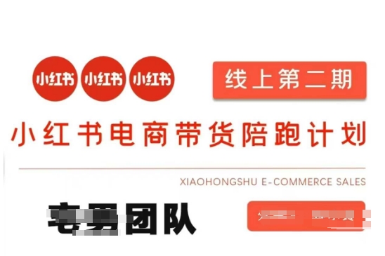 小红书电商带货课2期,月利润20个的小红书电商的有货源,无货源,虚拟产品,付费投流等整套玩法-垣曜资源