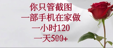 你只管截图，一部手机在家操作，一小时120.一天5张【揭秘】-垣曜资源