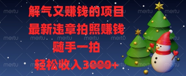 解气又挣钱的项目，最新违章拍照挣钱，随手一拍，轻松收入数张【揭秘】-垣曜资源